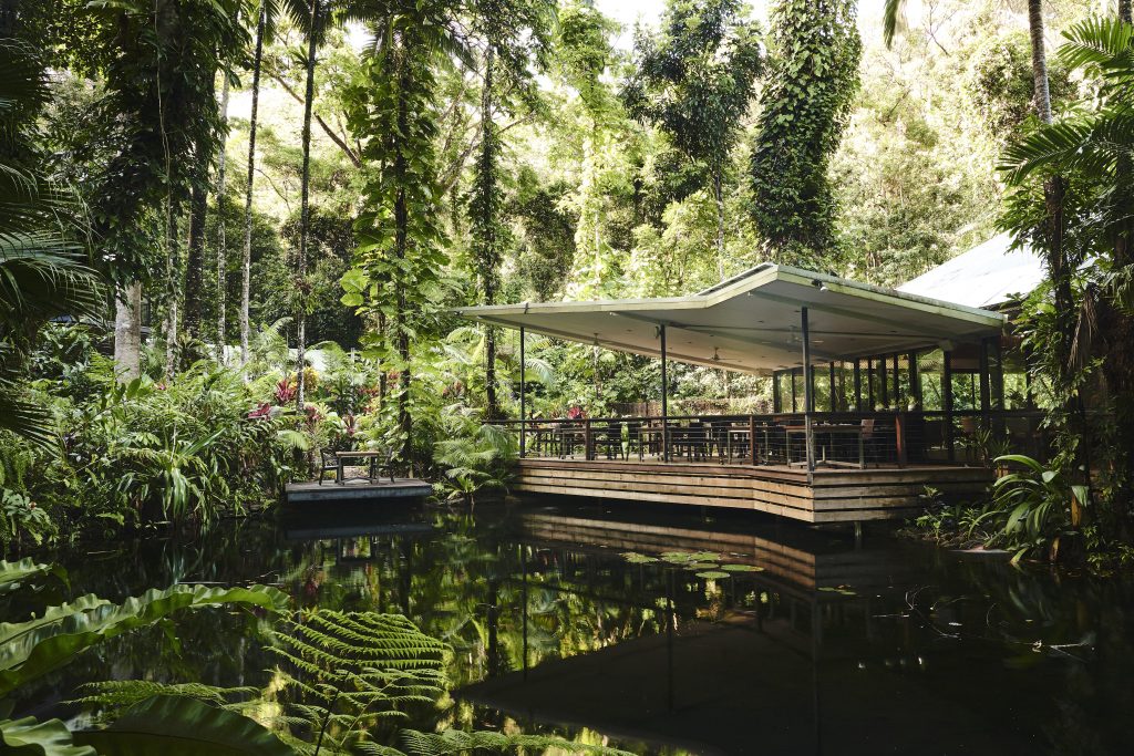 Rainforest Yoga Retreat