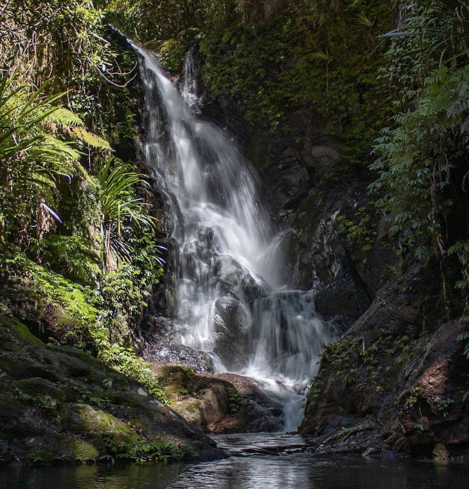 QLD Meditation Spot